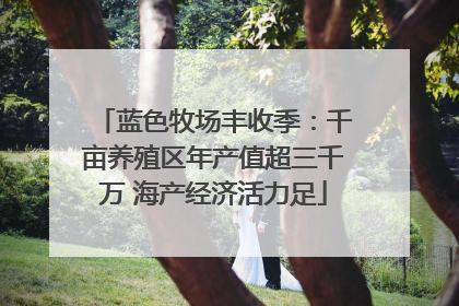 蓝色牧场丰收季：千亩养殖区年产值超三千万 海产经济活力足