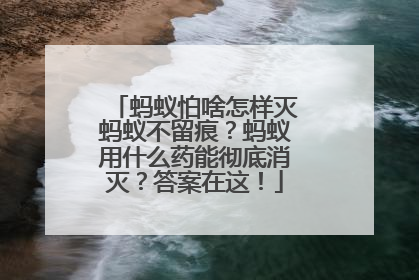 蚂蚁怕啥怎样灭蚂蚁不留痕？蚂蚁用什么药能彻底消灭？答案在这！