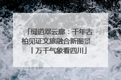 蜀道翠云廊：千年古柏见证文旅融合新图景丨万千气象看四川