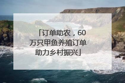 订单助农，60万只甲鱼养殖订单助力乡村振兴