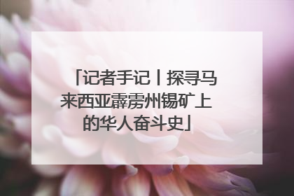 记者手记丨探寻马来西亚霹雳州锡矿上的华人奋斗史
