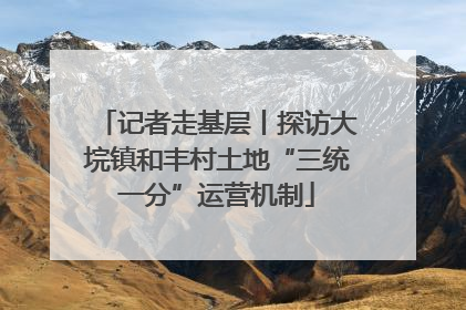 记者走基层丨探访大垸镇和丰村土地“三统一分”运营机制