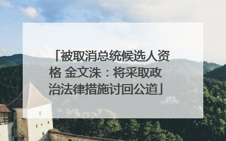 被取消总统候选人资格 金文洙：将采取政治法律措施讨回公道