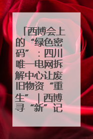 西博会上的“绿色密码”：四川唯一电网拆解中心让废旧物资“重生”｜西博寻“新”记