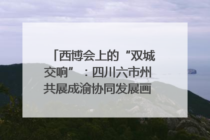 西博会上的“双城交响”：四川六市州共展成渝协同发展画卷｜西博视界