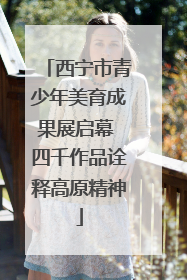 西宁市青少年美育成果展启幕 四千作品诠释高原精神