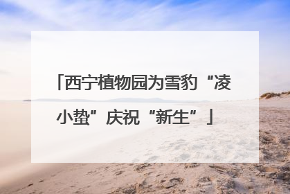 西宁植物园为雪豹“凌小蛰”庆祝“新生”