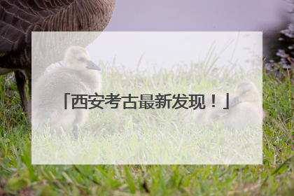 西安考古最新发现！