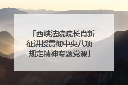 西峡法院院长肖新征讲授贯彻中央八项规定精神专题党课