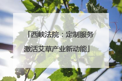 西峡法院：定制服务激活艾草产业新动能