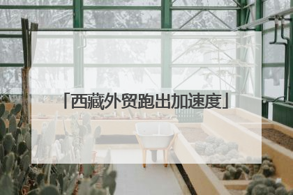 西藏外贸跑出加速度