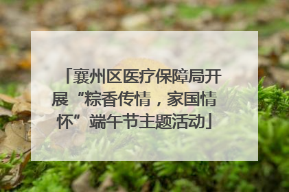 襄州区医疗保障局开展“粽香传情，家国情怀”端午节主题活动