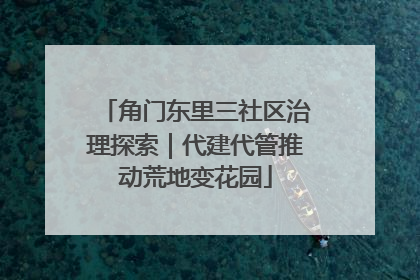 角门东里三社区治理探索｜代建代管推动荒地变花园