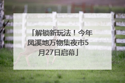 解锁新玩法！今年凤溪地万物集夜市5月27日启幕