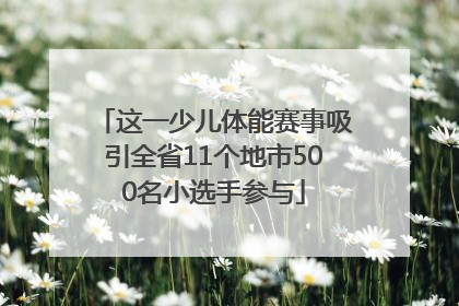 这一少儿体能赛事吸引全省11个地市500名小选手参与