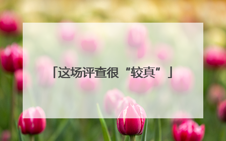 这场评查很“较真”