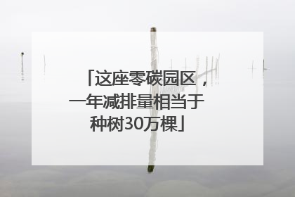 这座零碳园区，一年减排量相当于种树30万棵