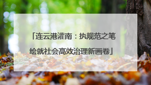 连云港灌南：执规范之笔 绘就社会高效治理新画卷