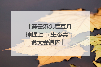 连云港头茬豆丹捕捉上市 生态美食大受追捧