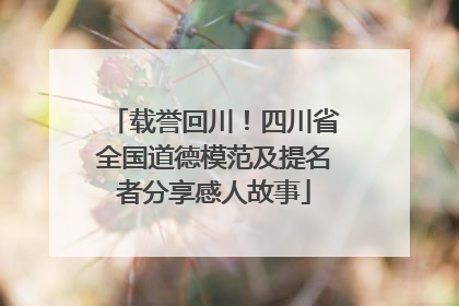 载誉回川！四川省全国道德模范及提名者分享感人故事