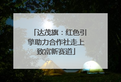 达茂旗：红色引擎助力合作社走上致富新赛道