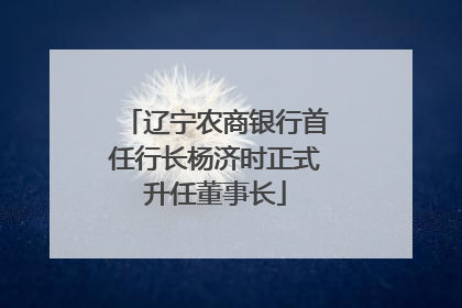 辽宁农商银行首任行长杨济时正式升任董事长
