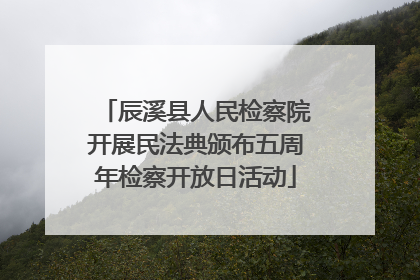 辰溪县人民检察院开展民法典颁布五周年检察开放日活动