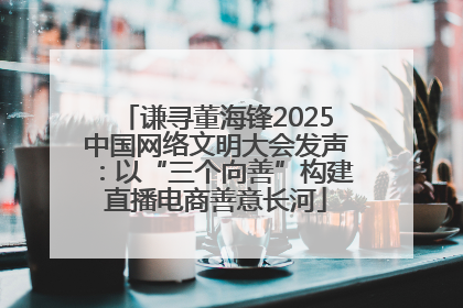 谦寻董海锋2025中国网络文明大会发声：以“三个向善”构建直播电商善意长河