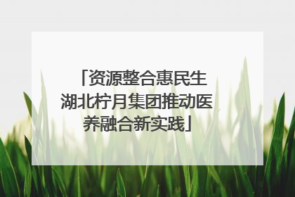 资源整合惠民生 湖北柠月集团推动医养融合新实践