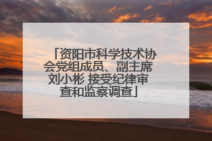 资阳市科学技术协会党组成员、副主席刘小彬 接受纪律审查和监察调查