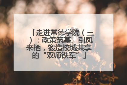 走进常德学院（三）：政策筑基、引凤来栖，锻造校城共享的“双师铁军”