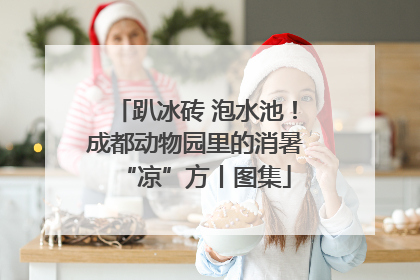 趴冰砖 泡水池！成都动物园里的消暑“凉”方丨图集
