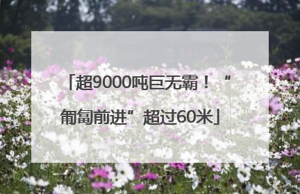 超9000吨巨无霸！“匍匐前进”超过60米