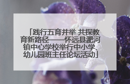 践行五育并举 共探教育新路径——怀远县淝河镇中心学校举行中小学、幼儿园班主任论坛活动
