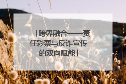 跨界融合——责任彩票与反诈宣传的双向赋能