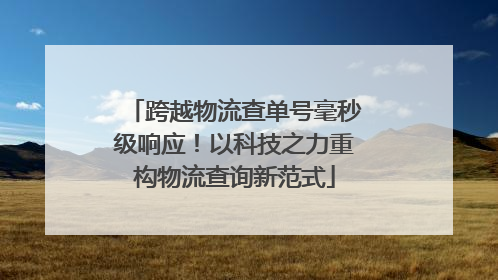 跨越物流查单号毫秒级响应！以科技之力重构物流查询新范式