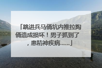 跳进兵马俑坑内推拉陶俑造成损坏！男子抓到了，患精神疾病……