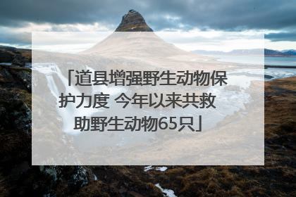 道县增强野生动物保护力度 今年以来共救助野生动物65只