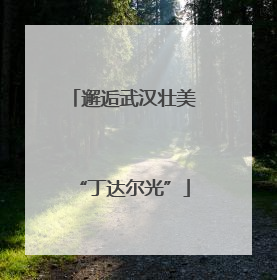 邂逅武汉壮美“丁达尔光”