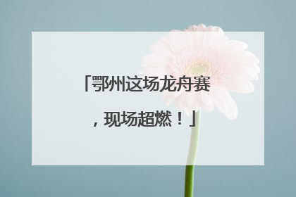 鄂州这场龙舟赛，现场超燃！