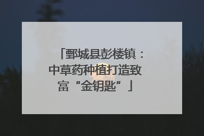 鄄城县彭楼镇：中草药种植打造致富“金钥匙”
