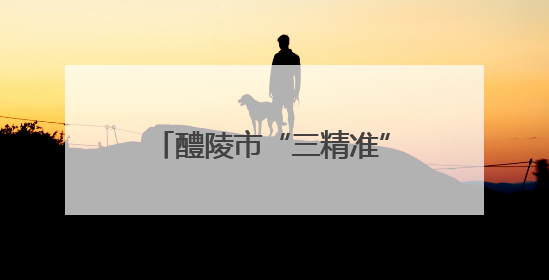 醴陵市“三精准”培训模式锻造乡村健康“守门人”