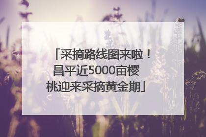 采摘路线图来啦！昌平近5000亩樱桃迎来采摘黄金期