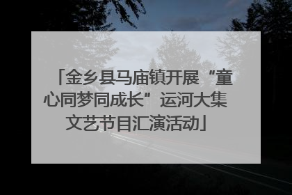 金乡县马庙镇开展“童心同梦同成长”运河大集文艺节目汇演活动