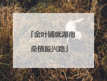 金叶铺就湖南桑植振兴路