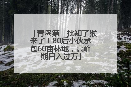 青岛第一批知了猴来了！80后小伙承包60亩林地，高峰期日入过万