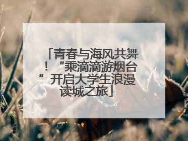 青春与海风共舞！“乘滴滴游烟台”开启大学生浪漫读城之旅