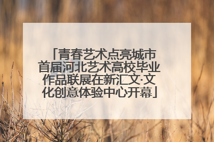 青春艺术点亮城市 首届河北艺术高校毕业作品联展在新汇文·文化创意体验中心开幕