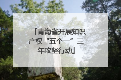 青海省开展知识产权“五个一”三年攻坚行动