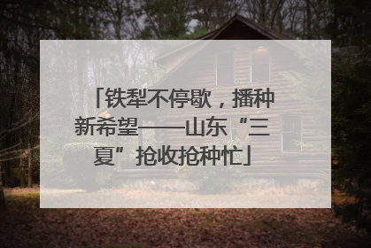 铁犁不停歇，播种新希望——山东“三夏”抢收抢种忙